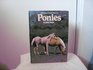 Everyone's Book of Ponies