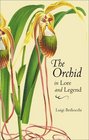 The Orchid in Lore and Legend