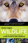 North American Wildlife: An Illustrated Guide to 2,000 Plants and Animals