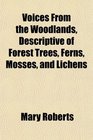 Voices From the Woodlands Descriptive of Forest Trees Ferns Mosses and Lichens