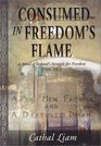 Consumed in Freedom's Flame A Novel of Ireland's Struggle for Freedom 19161921