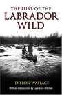 Lure of the Labrador Wild