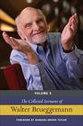 The Collected Sermons of Walter Brueggemann Volume 3