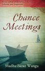 Chance Meetings Stories About CrossCultural Karmic Collisions and Compassion