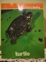 Scott Foresman Spelling Turtle