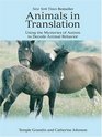 Animals in Translation: Using the Mysteries of Autism to Decode Animal Behavior (Large Print)