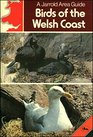 Birds of the Welsh Coast