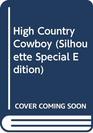 High Country Cowboy