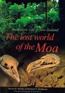 The Lost World of the Moa: Prehistoric Life of New Zealand
