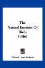 The Natural Enemies Of Birds