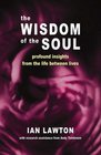 The Wisdom of the Soul Profound Insights from the Life Between Lives
