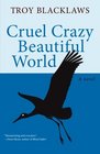 Cruel Crazy Beautiful World A novel