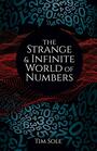 The Strange  Infinite World of Numbers