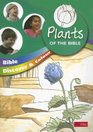 Bible discover and colour Plants