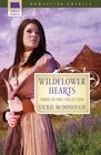 Wildflower Hearts (Romancing America)