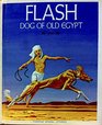 Flash dog of old Egypt