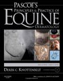 Pascoe's Principles and Practice of Equine Dermatology