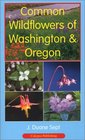 Common Wildflowers of Washington  Oregon