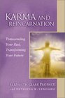 Karma and Reincarnation: Transcending Your Past, Transforming Your Future (Pocket Guides to Practical Spirituality Series) (Pocket Guides to Practical Spirituality Series)