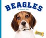 Beagles