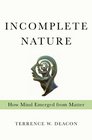 Incomplete Nature How Mind Emerged from Matter