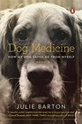 Dog Medicine How My Dog Saved Me from Myself