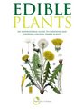 Edible Plants An inspirational guide to choosing and growing unusual edible plants