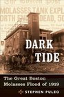 Dark Tide  The Great Boston Molasses Flood of 1919