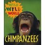 Wild Wild World  Chimpanzees