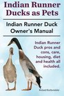Indian Runner Ducks as Pets. The Indian Runner Duck Owner's Manual. Indian Runner Duck pros and cons, care, housing, diet and health all included.