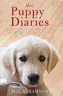 Puppy Diaries Raising a Dog Named Scout