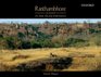 Ranthambhore 10 Days in the Tiger Fortress