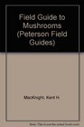 A Field Guide to Mushrooms North America (Peterson Field Guide Series)