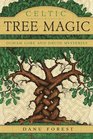 Celtic Tree Magic Ogham Lore and Druid Mysteries
