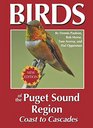 Bob's Guide for Beginning Birders The Basics of Bird Watching
