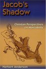 Jacob's Shadow Christian Perspectives on Masculinity