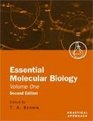 Essential Molecular Biology Volume 1 A Practical Approach