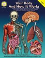 Your Body and How It Works