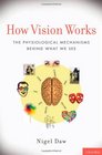 How Vision Works The Physiological Mechanisms Behind What We See