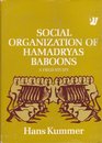 Social Organization of Hamadryas Baboons Field Study