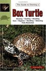 The Guide to Owning a Box Turtle