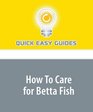 How To Care for Betta Fish: 6 Tips for Betta Fish Care