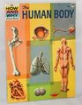 Hw Human Body