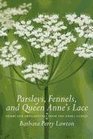 Parsleys Fennels and Queen Anne's Lace