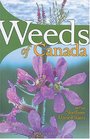 Weeds of Canada and the Northern United States A Guide for Identification