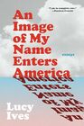An Image of My Name Enters America Essays