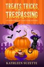 Treats Tricks and Trespassing A Pumpkin Hollow Candy Store Mystery