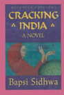 Cracking India A Novel