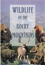 Wildlife of the Rocky Mountains
