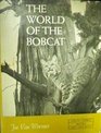 World of the Bobcat